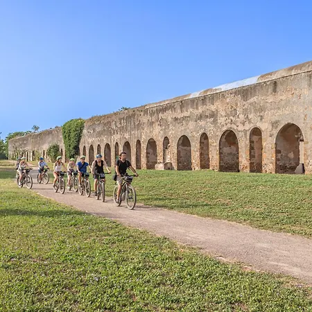 别墅 Bbhome Domus Aquae Inside Of Appia Antica Park